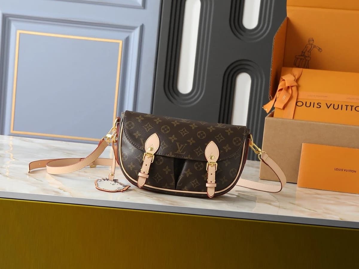 Louis Vuitton LV Bag 2